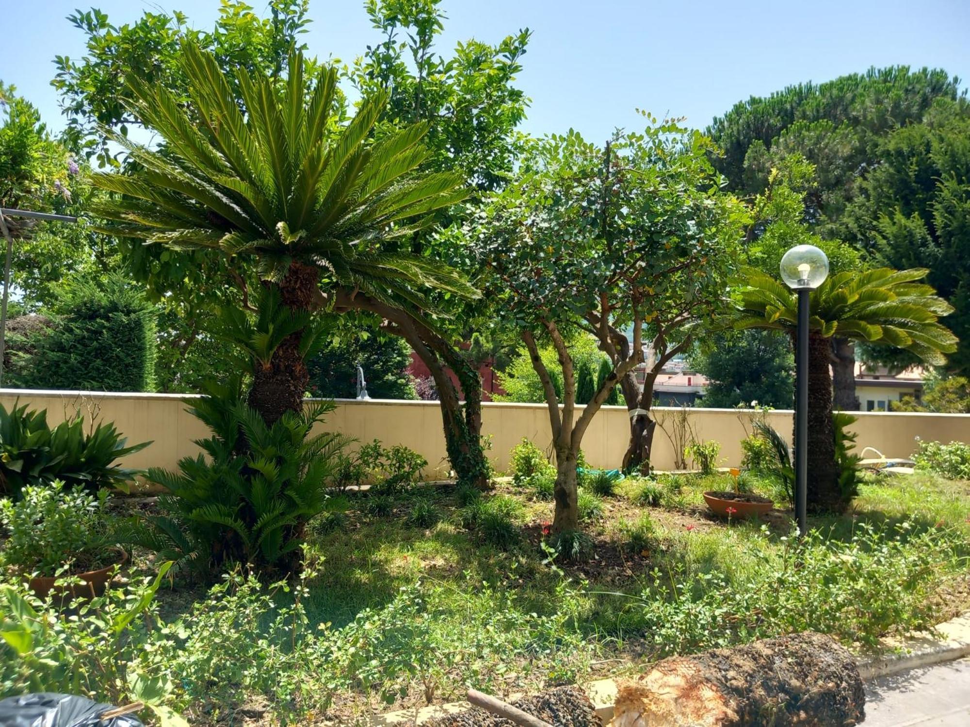 Villa Maria Cristina D'Amico Cava deʼ Tirreni Εξωτερικό φωτογραφία